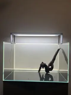 2026年最新】ホーンウッド adaの人気アイテム - メルカリ