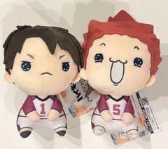 ハイキュー もちぴこぬいぐるみ⑧ 全2種セット