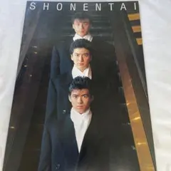 少年隊　コンサート　パンフレット　ジャニーズ 2025年最新】少年隊 パンフレットの人気アイテム - メルカリ