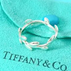 2025年最新】ティファニー リーフ リングの人気アイテム - メルカリ
