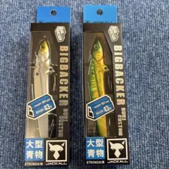 【新品未使用】爆釣❗️ジャッカル❗️ビッグバッカー✨ブリカスタム✨人気カラー2個のサムネイル