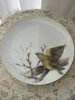 ❗️手書き　鳥のプレートのサムネイル