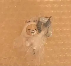 スキズ　skzoo つまんでつなげてますこっと　フォクシニー　アイエン　カニカン