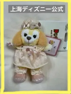 上海ディズニー公式 CookieAnnぬいぐるみキーチェーン激レア　購入権当選品
