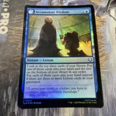 積み重ねられた知識 Foil