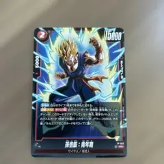 孫悟飯:青年期 SRパラレル FB03-039 フュージョンワールド - メルカリ
