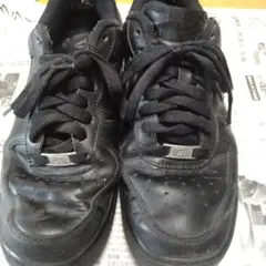 Item thumbnail for item c93d89b2-410a-438c-b83b-11c0bee24c2f