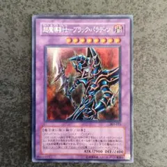 超魔導剣士ブラックパラディン