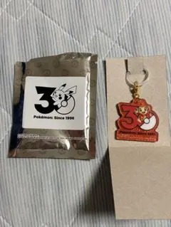 ポケモン ポケチャーム 30周年ロゴマスコット ヒコザル