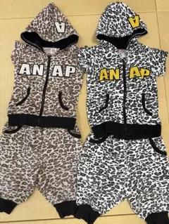 ANAP セットアップ　100cm