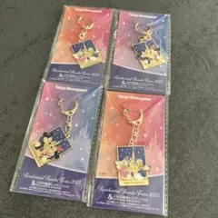 限定品　東京ディズニーランド アクリルキーホルダー 4個セット