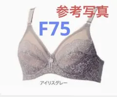 2026年最新】ダイアナ 下着 d75の人気アイテム - メルカリ