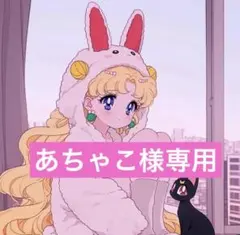 あちゃこ様専用