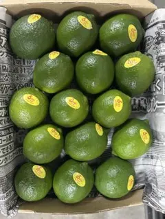メキシコ産ライム15個入りのサムネイル