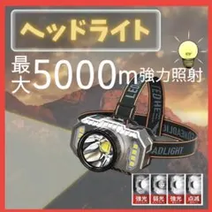 Item thumbnail for item a047a9ea-a2c9-47d7-b6d0-25fbbed988e0