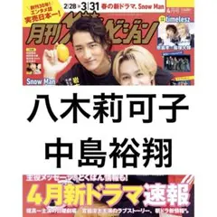 月刊ザテレビジョン 八木莉可子 中島裕翔