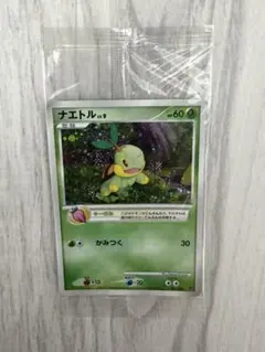 PSA10 ヒコザル lv.7 プロモ 002/PPP プレイヤーズ PSA10 ヒコザル lv.7 プロモ 002/PPP プレイヤーズ - メルカリ