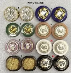 ボタンカボション250⑪ 6/27