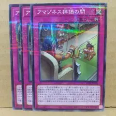【アマゾネス拝謁の間】【AC02-JP038】【ノーパラ3枚】