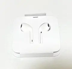 iPhone 有線　イヤホン　ライトニングケーブル