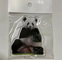 結浜　アクリルスタンド　パンダ　アドベンチャーワールド