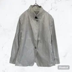 J611 キヨコタカセ スタンドカラー ジャケット グレー 11 L 春色 光沢