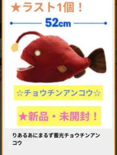 台湾国際蘭展 蘭獸 Orchid獸 ぬいぐるみ こちょうらん マスコット