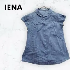 ＊イエナ＊ストライプ 半袖シャツ 水色 丸襟 フレンチ袖 涼感 夏コーデ 上品