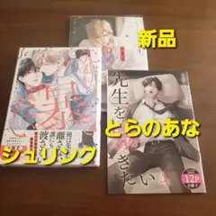先生を暴きたい　4巻　とらのあな特典　シュリンク　新刊