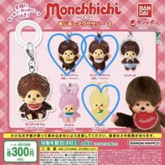 モンチッチ めじるしアクセサリー2 3点セット