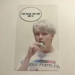 SEVENTEEN バーノン マスタニム クリアトレカ