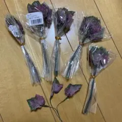 プリレットアイビー 5束セット