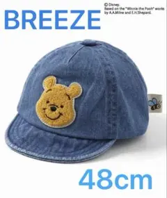 Item thumbnail for item 68fc3317-cf09-45ad-81b6-34d7f01d697a