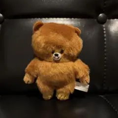 Kano Kitamura 顔がギュッとしたくまのぬいぐるみ
