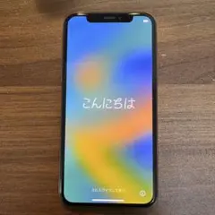 Apple iPhone Xs 64GB SIMフリー