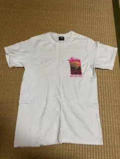Stussy Sサイズ グラフィックTシャツ