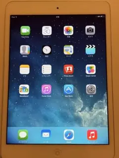 Apple iPad mini 第一世代WiFi 16GBのサムネイル
