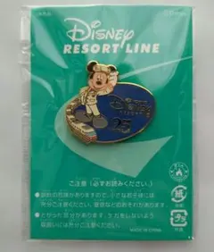 ④Disney Resort Line 25th Anniversary Pin