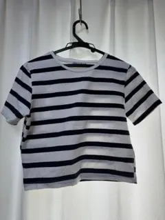 ZARA 短丈ミニTのサムネイル
