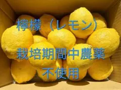 広島県産檸檬（レモン）約2キロ　★栽培期間中農薬不使用★　訳有り❗のサムネイル
