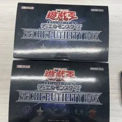 2025年最新】シークレットユーティリティボックスの人気アイテム