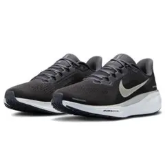 ナイキ　ペガサス41 ヤコブインゲブリクトセン