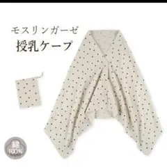 Item thumbnail for item 74af2144-c766-4da5-a4f5-cd3975787753