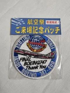 航空自衛隊 ワッペン F-4 退役記念 ラストイヤー 302飛行隊 記念塗装