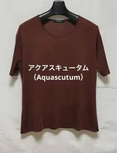アクアスキュータム（Aquascutum）ブラウン　サマーニット 　15号