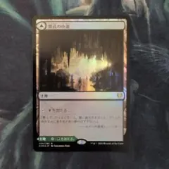 MTG 死天狗茸の林間地 拡張 foil - メルカリ