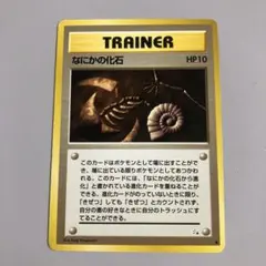 2025年最新】なにかの化石の人気アイテム - メルカリ