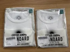 Item thumbnail for item 8c0c3f31-c8b4-4ca8-8d77-8a405f58e423