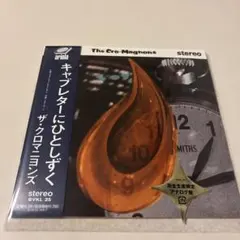 ☆未使用☆クロマニヨンズ　炎　アナログ　レコード ザ・クロマニヨンズ 炎【完全生産限定/アナログ盤】 炎【完全