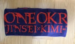 ONE OK ROCK ツアータオル